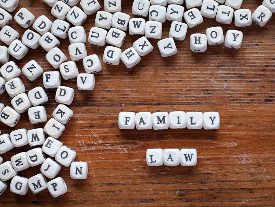 Family De Facto - Family Law Terms